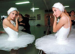 Swanlake.jpg (20132 bytes)